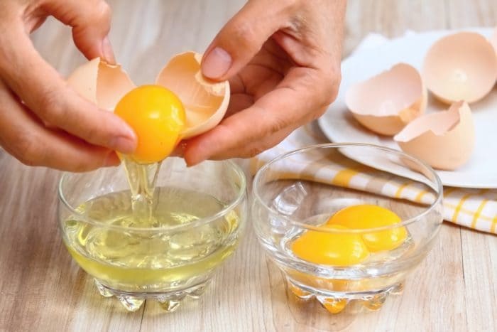 alimento sustituto de huevo