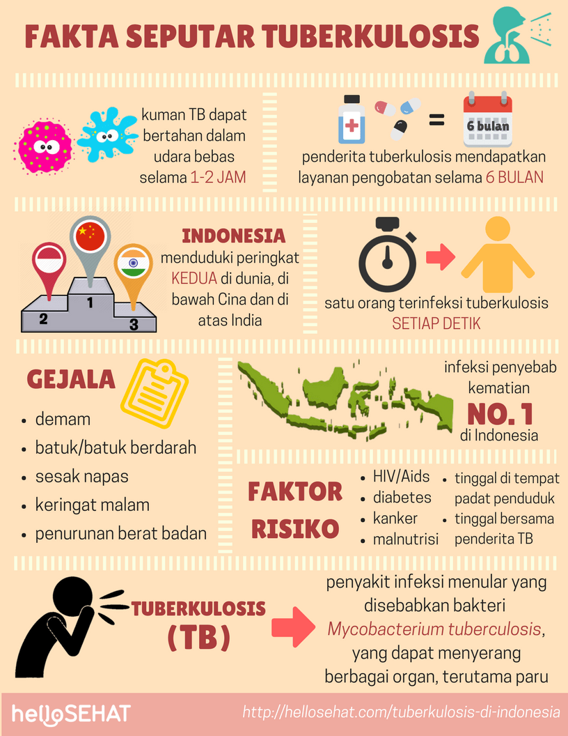 tuberculosis tuberculosis en Indonesia