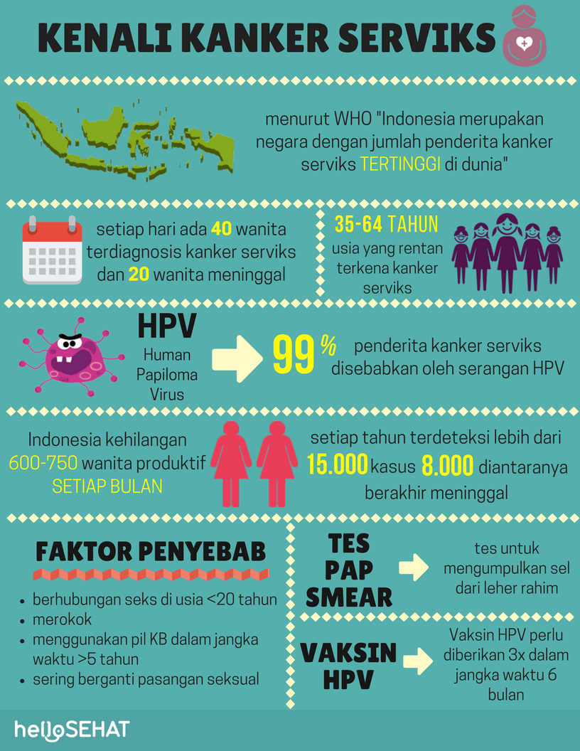 Infografía de cáncer cervical en Indonesia
