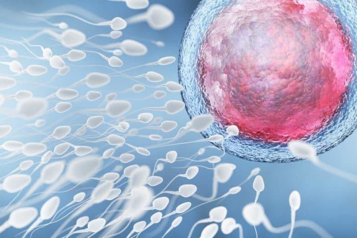El análisis de esperma es una prueba de fertilidad masculina