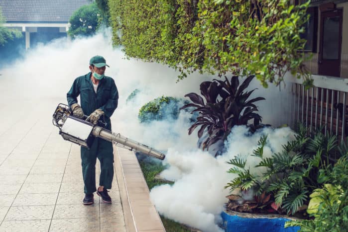 gas de nebulización en los mosquitos del dengue