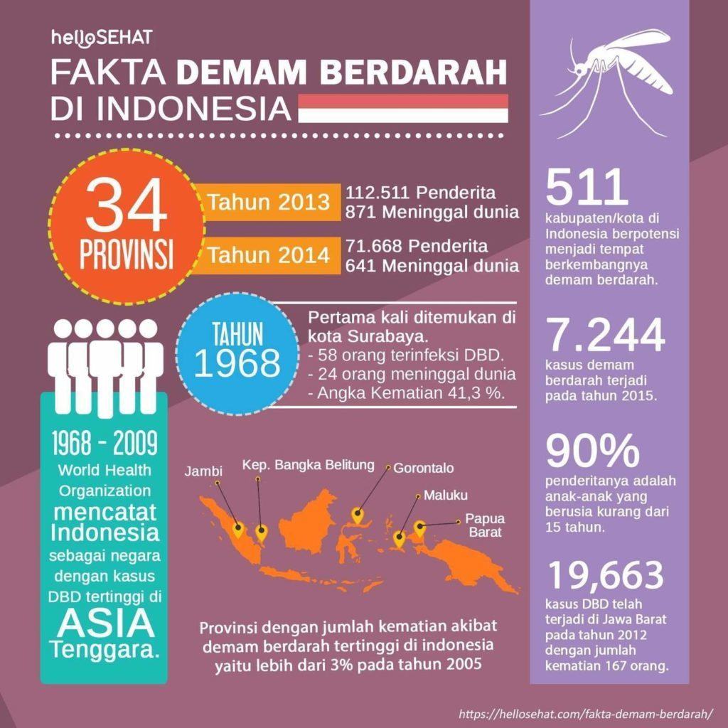 fiebre del dengue hellosehat en Indonesia