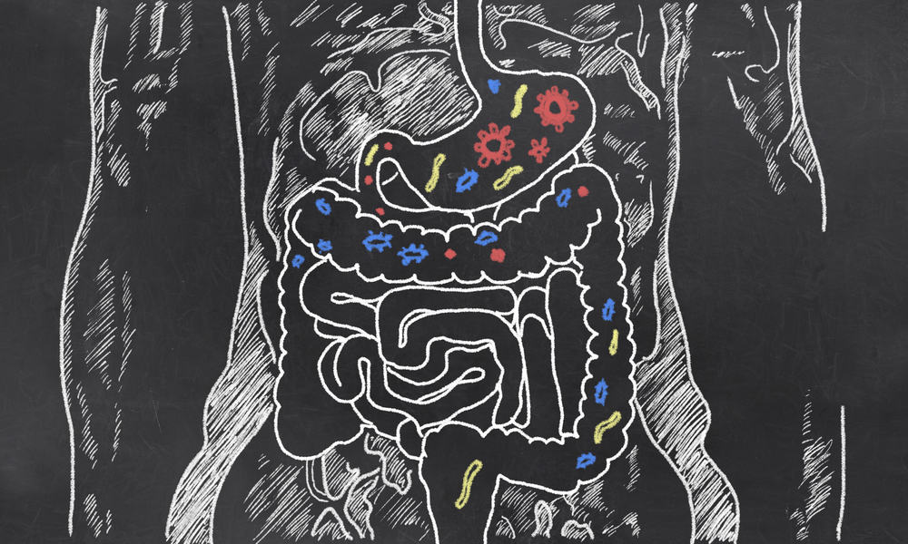 Patrones dietéticos basados ​​en bacterias en el intestino.
