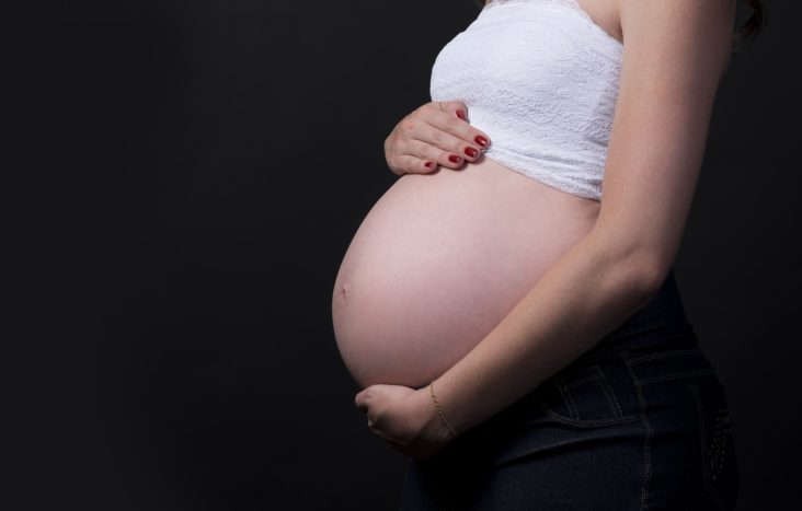 Los suplementos de vitamina B3 previenen los abortos espontáneos y los bebés con defectos de nacimiento